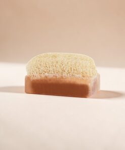 Kabak Lifli Hindistan Cevizi Sabunu